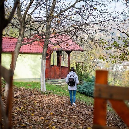 Holiday Home Nanin Konak 2 Vrdnik Exterior foto