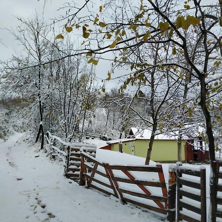 Holiday Home Nanin Konak 2 Vrdnik Exterior foto