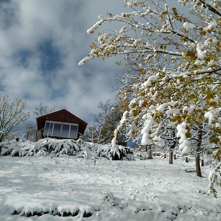 Holiday Home Nanin Konak 2 Vrdnik Exterior foto
