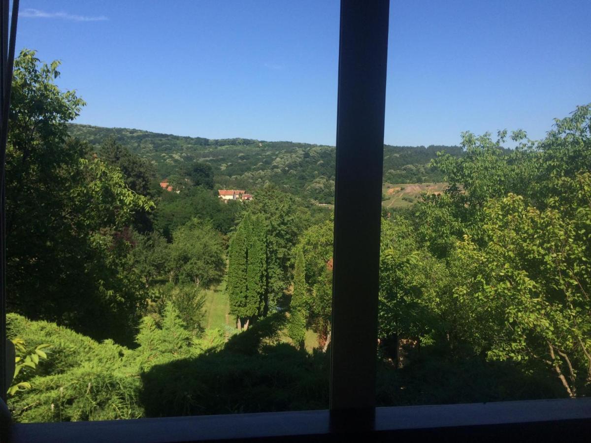 Holiday Home Nanin Konak 2 Vrdnik Exterior foto