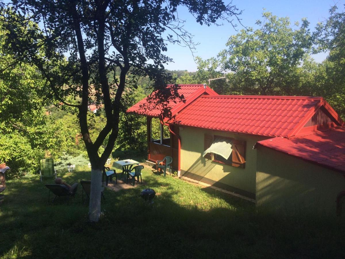 Holiday Home Nanin Konak 2 Vrdnik Exterior foto