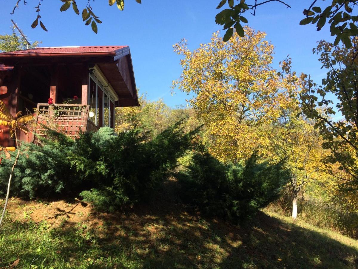 Holiday Home Nanin Konak 2 Vrdnik Exterior foto