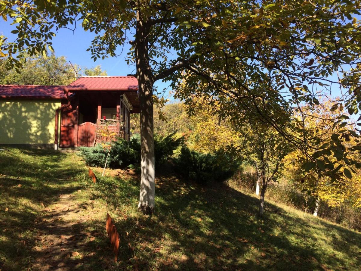Holiday Home Nanin Konak 2 Vrdnik Exterior foto