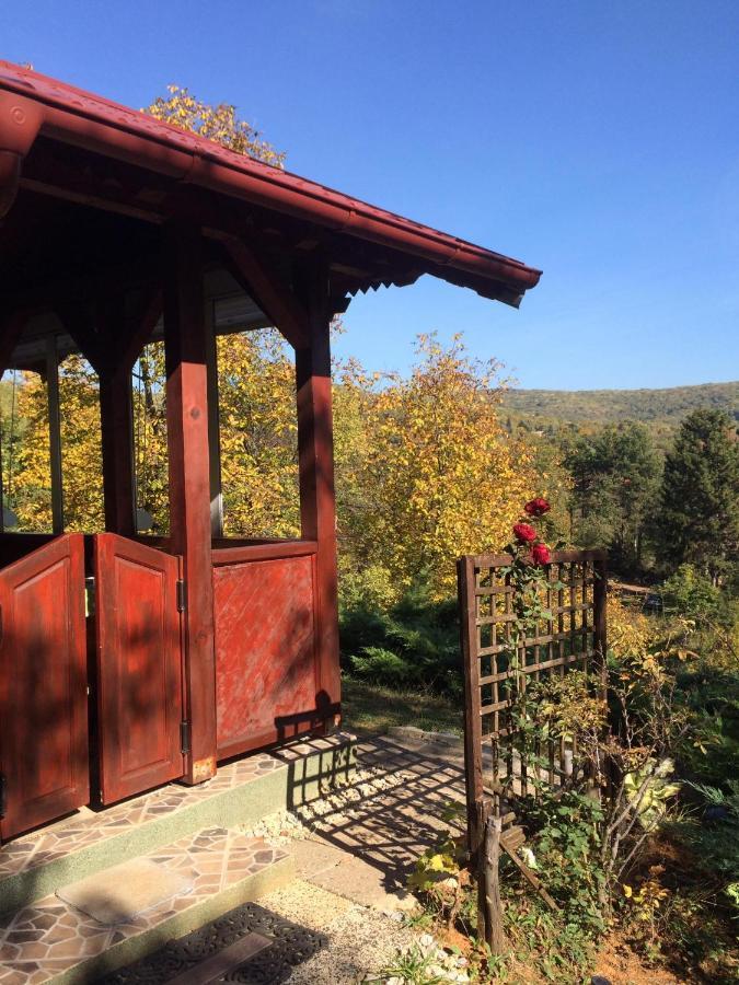 Holiday Home Nanin Konak 2 Vrdnik Exterior foto