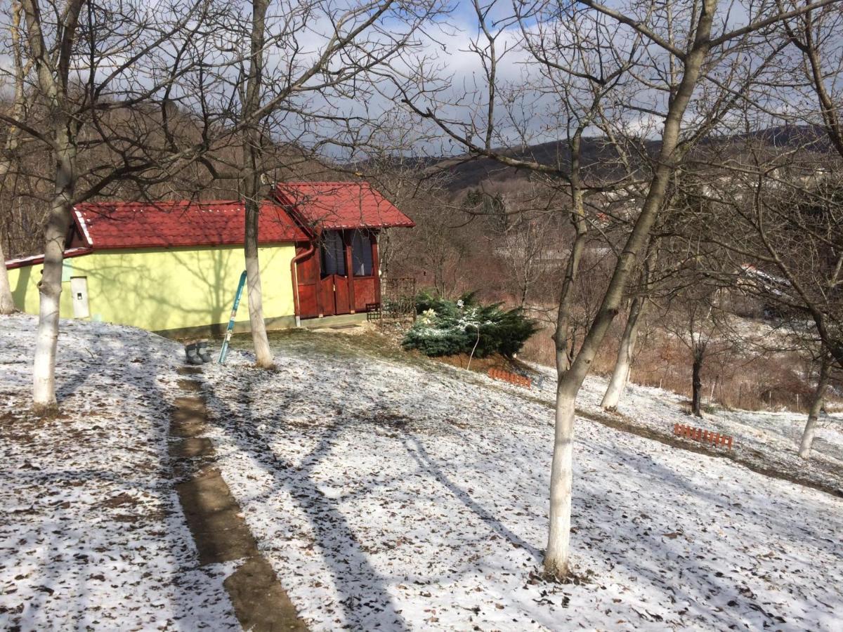 Holiday Home Nanin Konak 2 Vrdnik Exterior foto