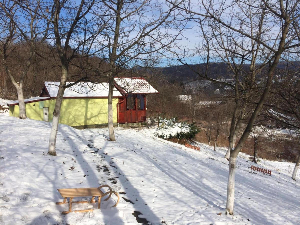 Holiday Home Nanin Konak 2 Vrdnik Exterior foto