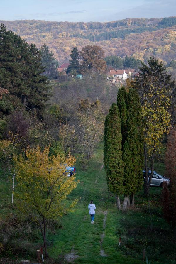 Holiday Home Nanin Konak 2 Vrdnik Exterior foto