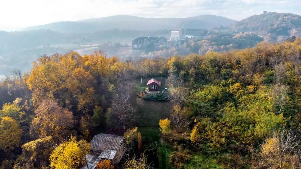 Holiday Home Nanin Konak 2 Vrdnik Exterior foto