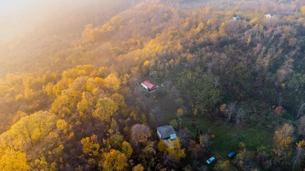 Holiday Home Nanin Konak 2 Vrdnik Exterior foto