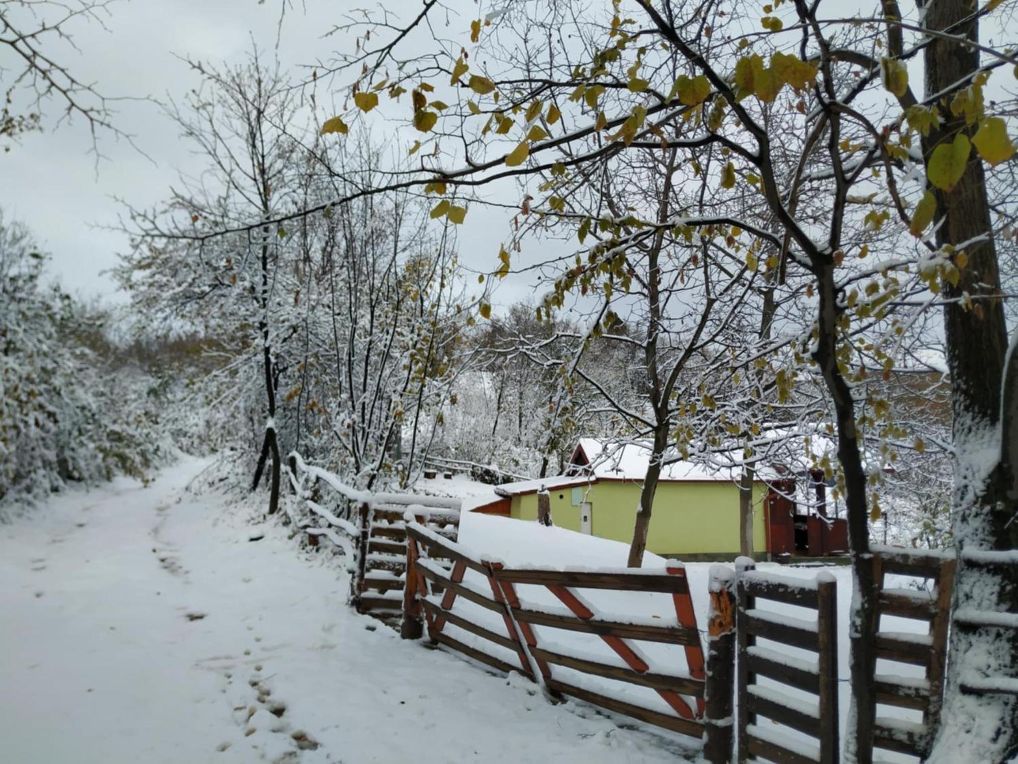 Holiday Home Nanin Konak 2 Vrdnik Exterior foto