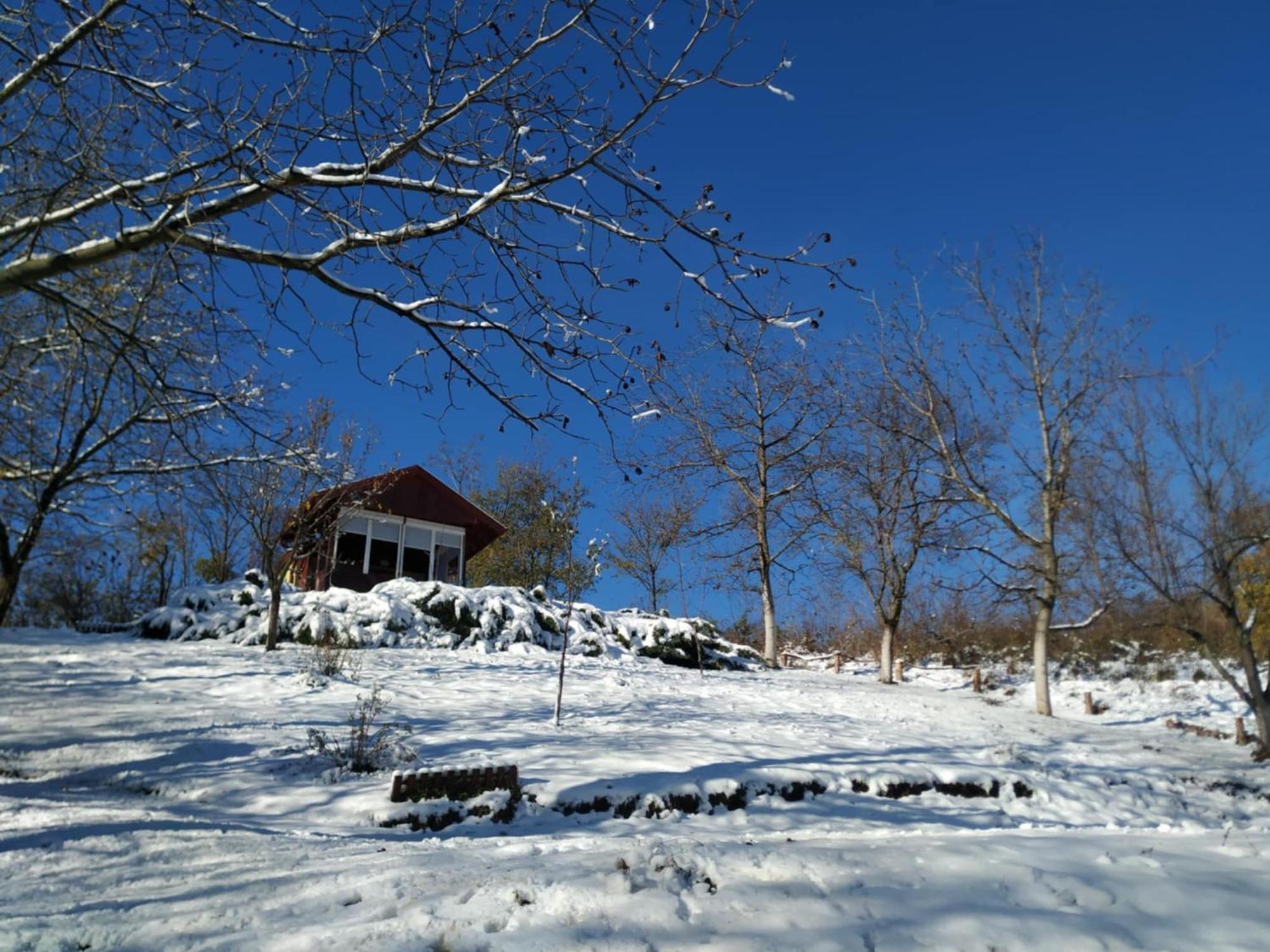 Holiday Home Nanin Konak 2 Vrdnik Exterior foto