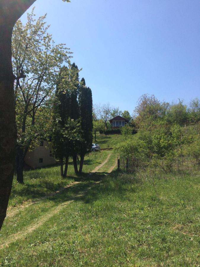 Holiday Home Nanin Konak 2 Vrdnik Exterior foto