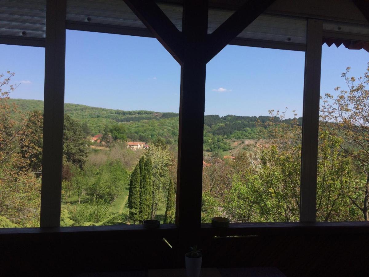 Holiday Home Nanin Konak 2 Vrdnik Exterior foto